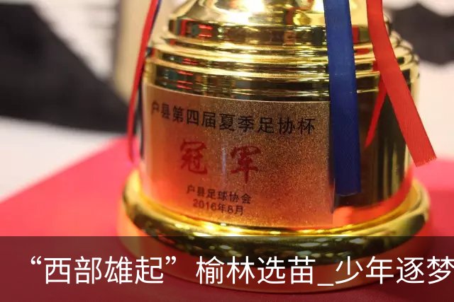 “西部雄起”榆林选苗 少年逐梦绿茵——前国足队长马明宇来榆开展公益足球选拔