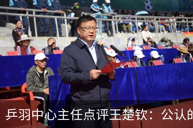 乒羽中心主任点评王楚钦：公认的天才，上限很高，但下限也很低，引发球迷热议