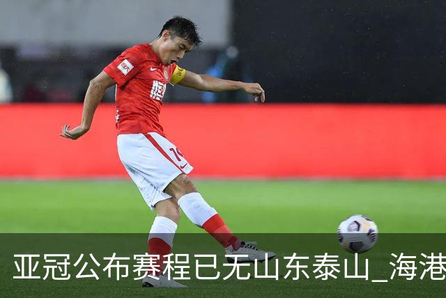 亚冠公布赛程已无山东泰山 海港若递补将赴泰国