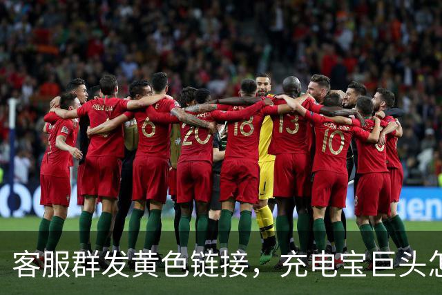 客服群发黄色链接，充电宝巨头怎么了？