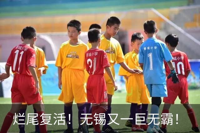 烂尾复活！无锡又一巨无霸！