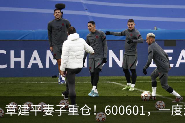 章建平妻子重仓！600601，一度涨停