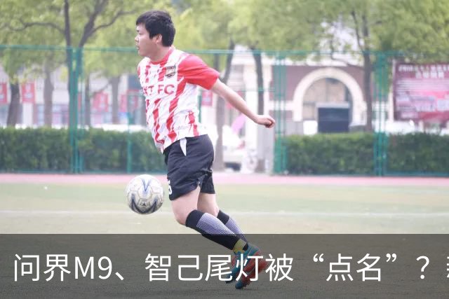 问界M9、智己尾灯被“点名”？新规：车灯不许卖萌