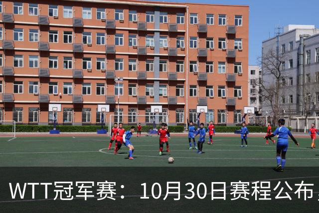 WTT冠军赛：10月30日赛程公布，国乒共出战6场，孙颖莎，王曼昱出战